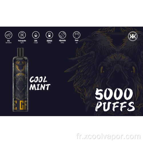 Xcoolvape la meilleure vente 5000 bouffées Vapes jetables HQD